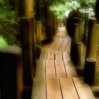 LES JARDINS DU CHÂTEAU DE CHAUMONT