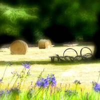 LES MOISSONS DE CHAUMONT