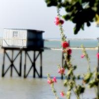 Talmont et ses carrelets