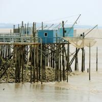 Les jeux de pêche de Talmont