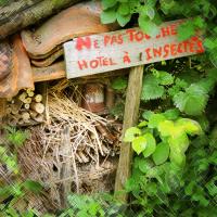 HOTEL INSECTES