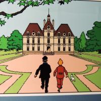 Quand Tintin et Haddock viennent à Cheverny...