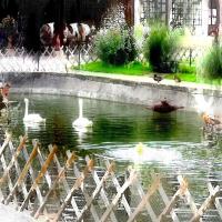 Les jardins de Chenonceau