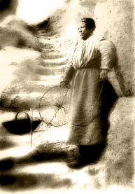 Grottes municipales de regulus meschers sur gironde