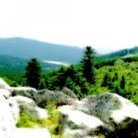 Le Col du Béal - 1390 m