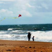Le cerf-volant sous temps de pluie