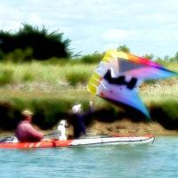 Le partage du jeu, toute génération