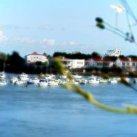 Sur le pont de la Vie