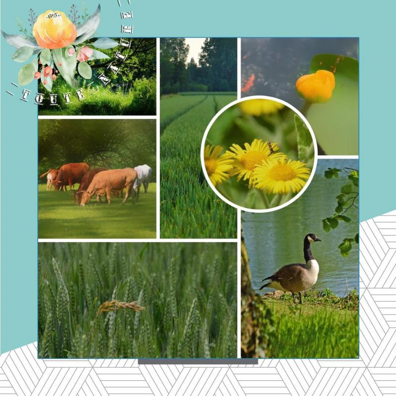 Page nature